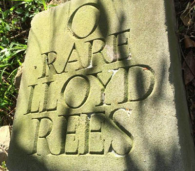 Lloyd Rees The Artist